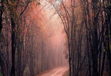 竞技宝：与莫塔的关系？法乔利：不想谈论一个已经不再是我教练的人.