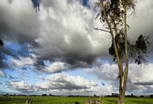 竞技宝：看清楚了！就是王楚钦先动的手！这么多人都在场你一定要负责啊.