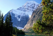 竞技宝：兜了一圈回到NBA，女友却跟了杰伦-布朗.