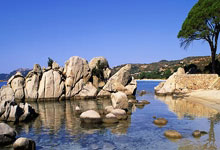 竞技宝：看清楚了！就是王楚钦先动的手！这么多人都在场你一定要负责啊.